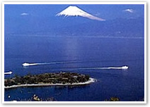 大瀬崎(おぜざき)