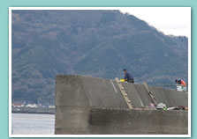 防波堤での磯釣り