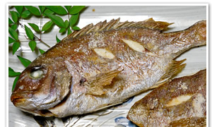 おろし醤油で頂く鯛の塩焼き