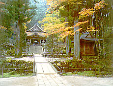 �H�̌��O��