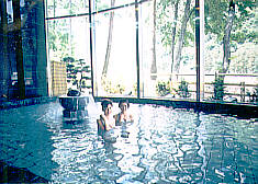 �����Y���򋽁@���܂����̓�