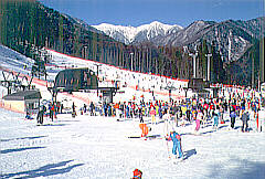 ��������X�L�[��