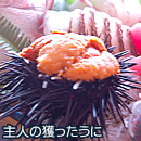 ��l�̊l��������