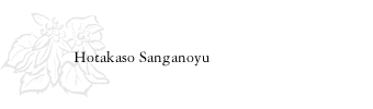 Hotakaso Sanganoyu