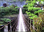 日高川にかかる木の吊橋 写真