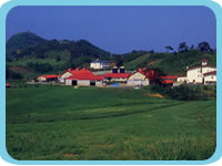 碇高原