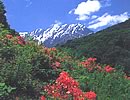 鹿島槍黒沢高原