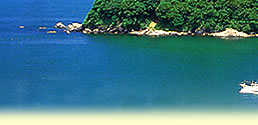 v̊C݂]ޒӓI
