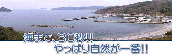 C܂ŁARObIIς莩RԁII
